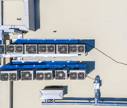 mission-roshes-conseil 