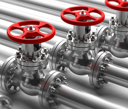 mission-roshes-conseil 